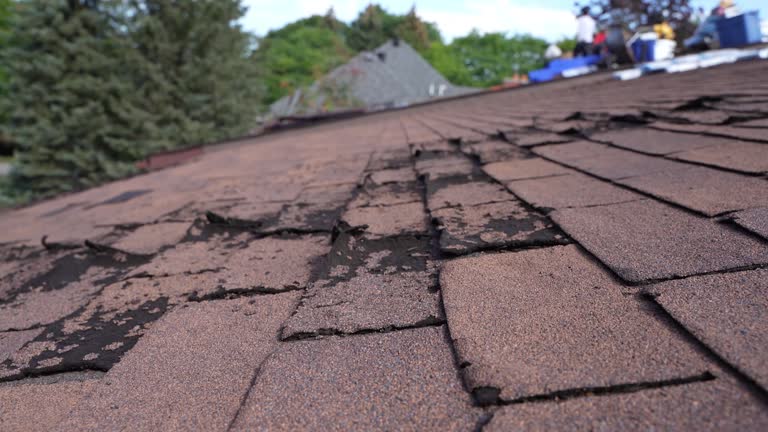 Fast & Reliable Emergency Roof Repairs in Westfield Center, OH